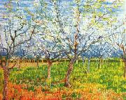 Vincent Van Gogh Orchard in Blossom oil painting artist
